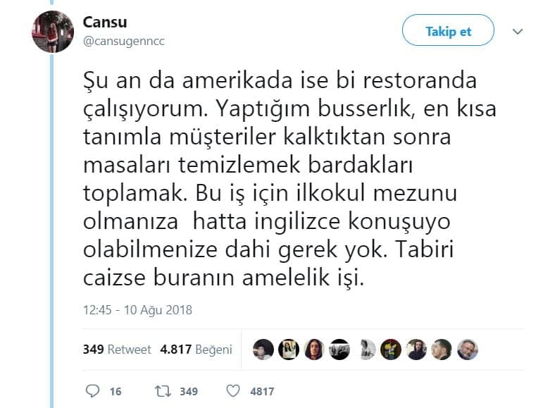 4. Yaptığı iş için hiçbir vasfa gerek yok!