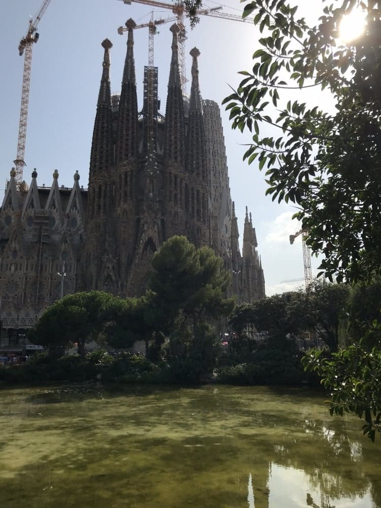 5. Arkadaş bulma, kaynaşma hakkında da birkaç şey...