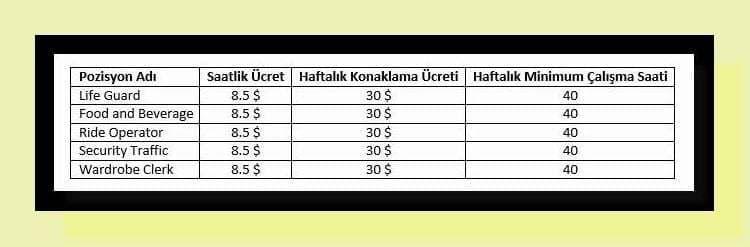 2. Pozisyonlar, saatlik ücretleri ve haftalık minimum çalışma saati :