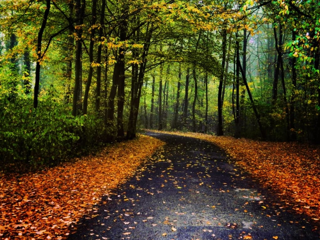 Kasabadaki manzaralar görülmeye değerdi.