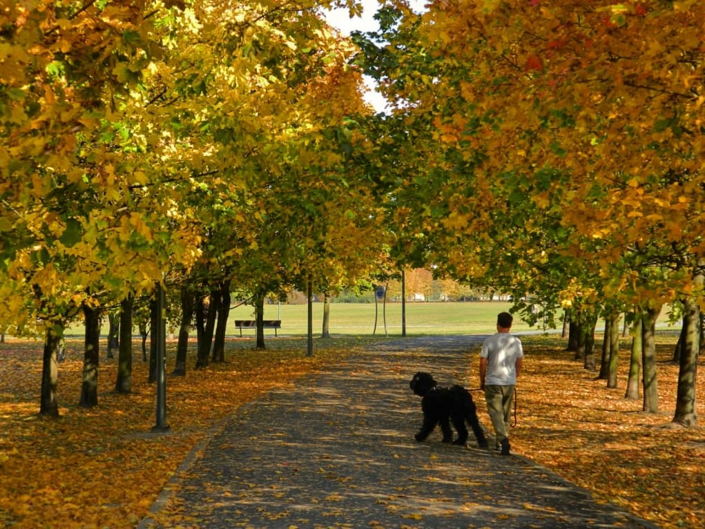 Opole’deki bir yürüyüş parkı