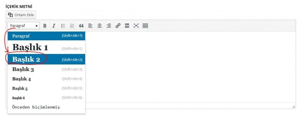 5. İçindekiler tablosu (Table of Contents) ekleyebilirsiniz.