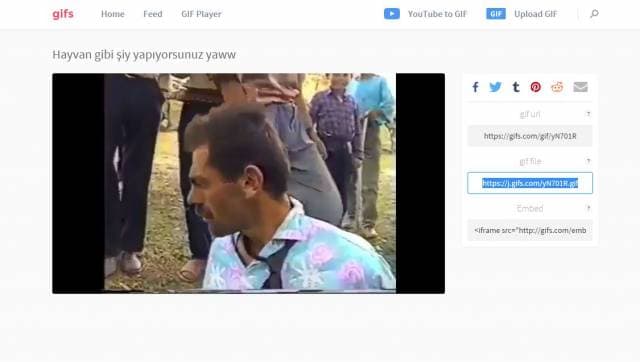 3.3. Gif'iniz hazır!