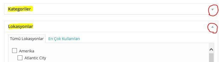 6. Kategori ve Lokasyon seçin.