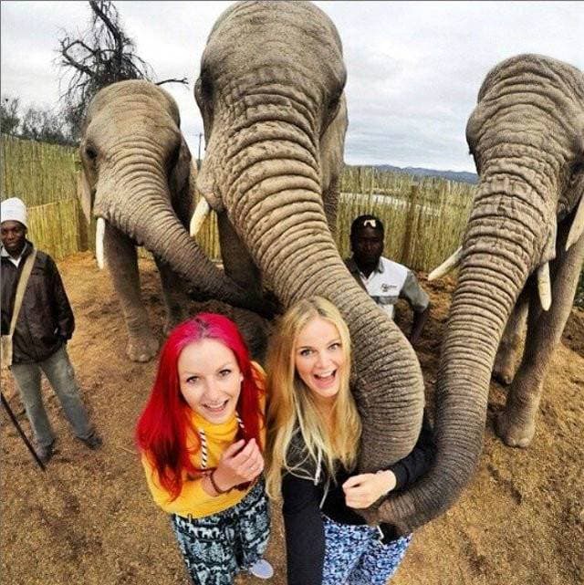 15. Cape Town'da safari heyecanı yaşarken..