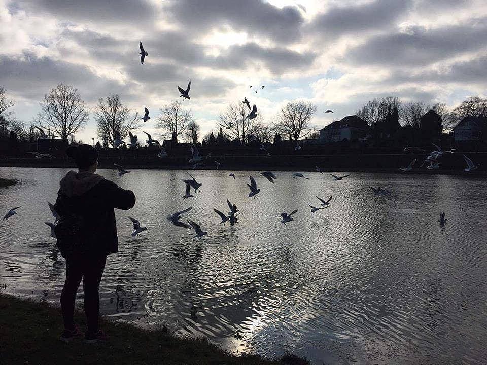 57. Martıları beslemek.