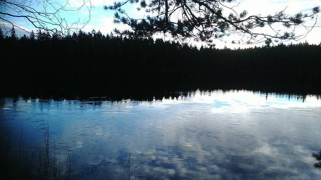 42. Tabiat parkından bir manzara.