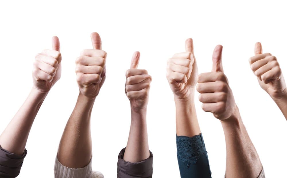 3. Referanslarınızı ayarlayın.