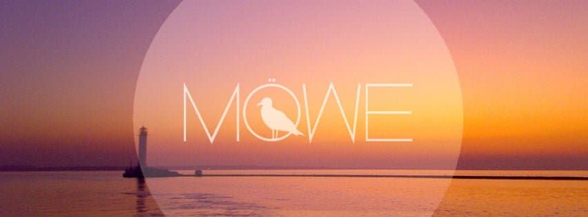 17. MÖWE - Birds Flying High