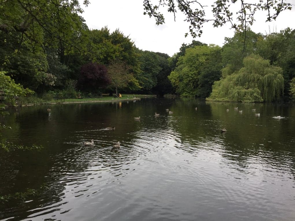 6. İrlanda'nın doğasına hayran olmamak elde değil.