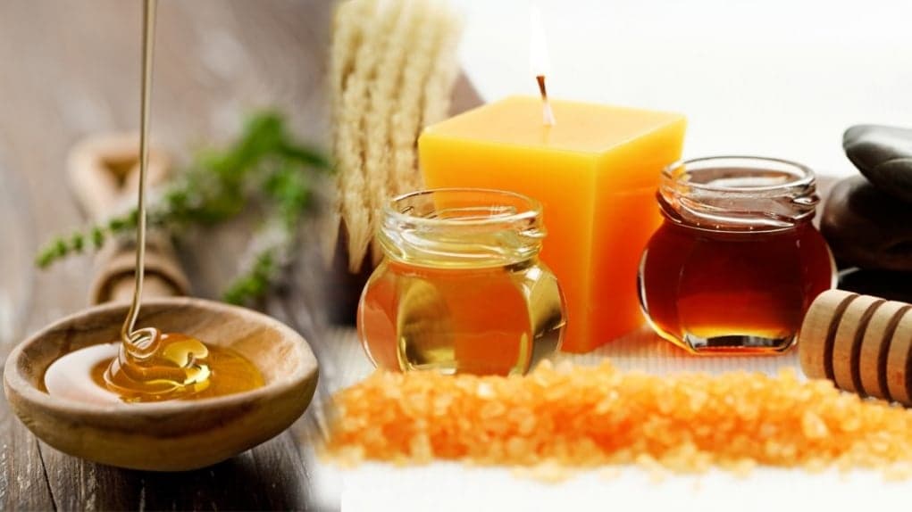 6. Dünyanın en kaliteli balı Malta'da üretilmektedir.