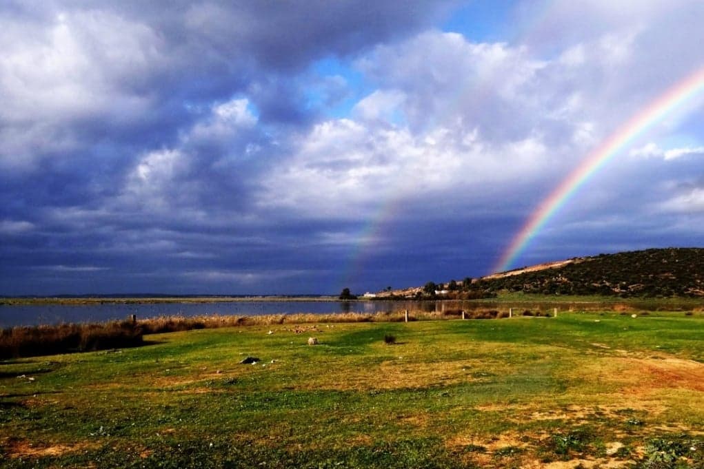 8. El Kala Ulusal Parkı