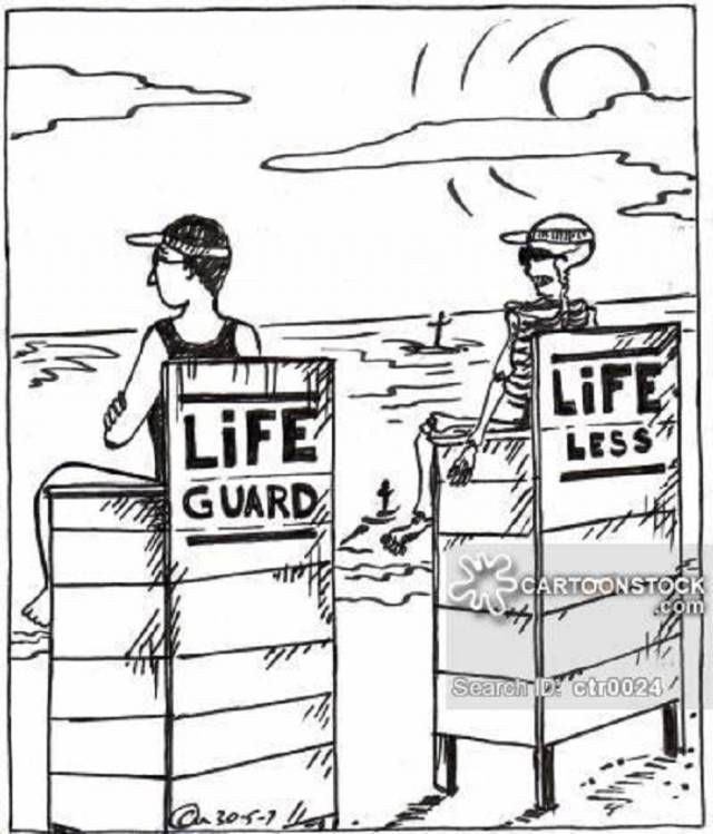7 Karikatürle Lifeguard Olmanın Detayları