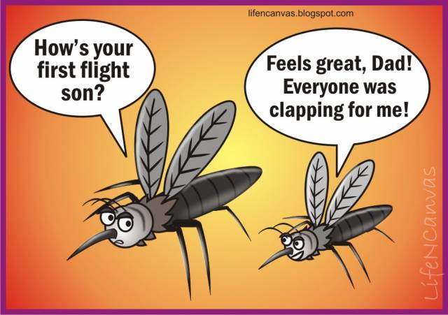3. Dikkat sivrisinek çıkabilir!