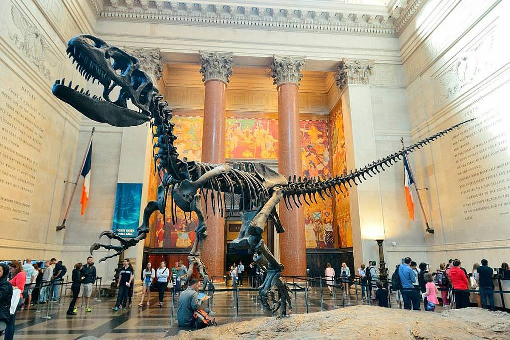 9. American Museum of Natural History