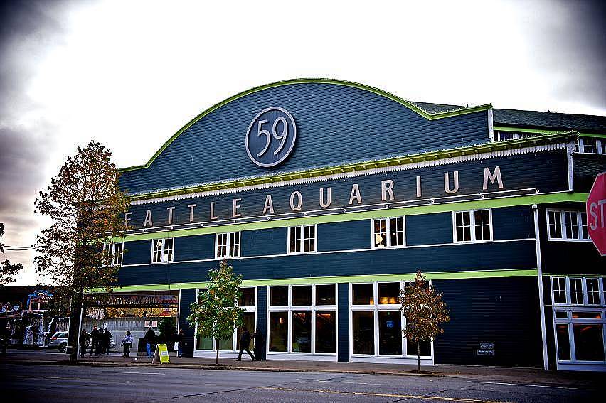 2. Seattle Akvaryumu, Washington