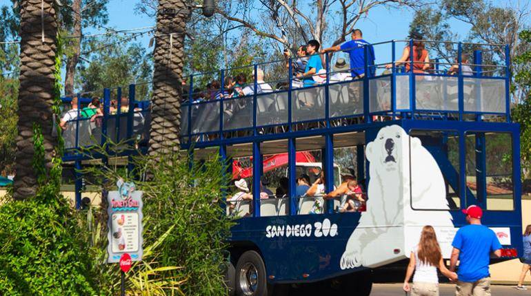 6. San Diego Zoo'da safari turu yapabilirsiniz.