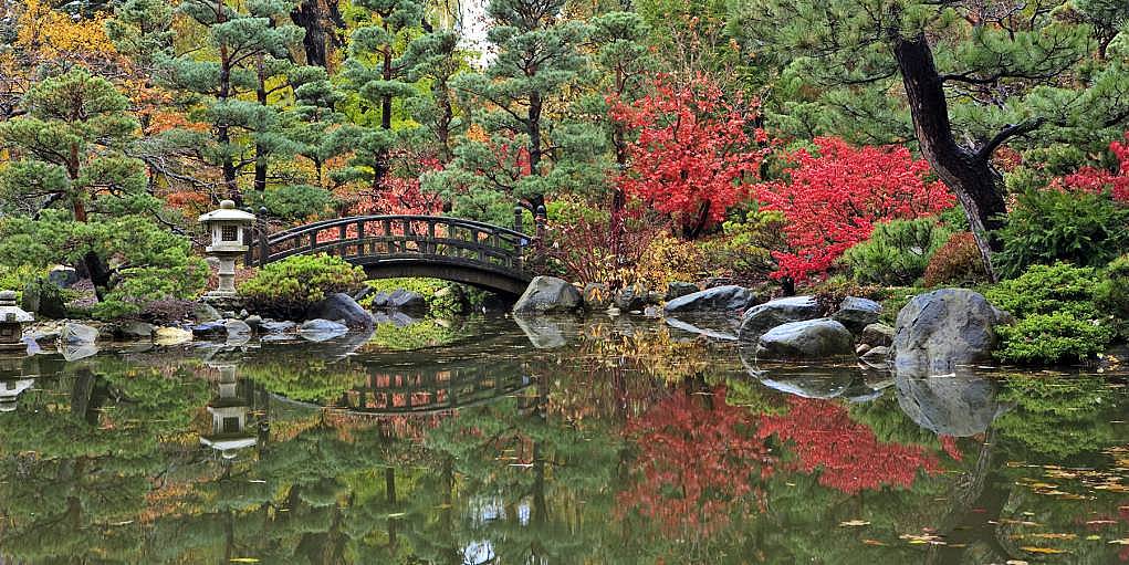 10. Anderson Japanese Gardens