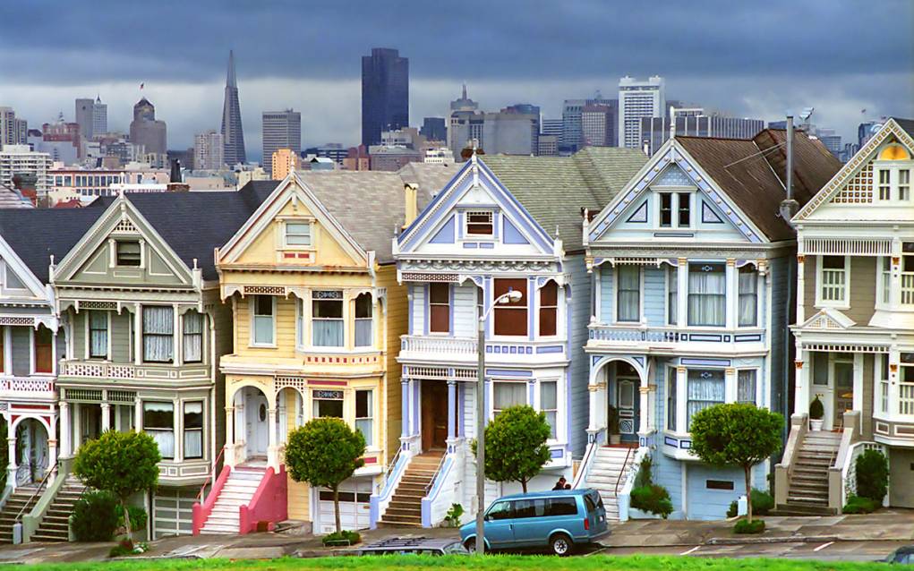 11. Painted Ladies