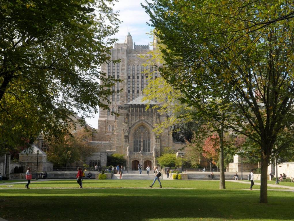 10. Yale Üniversitesi - ABD