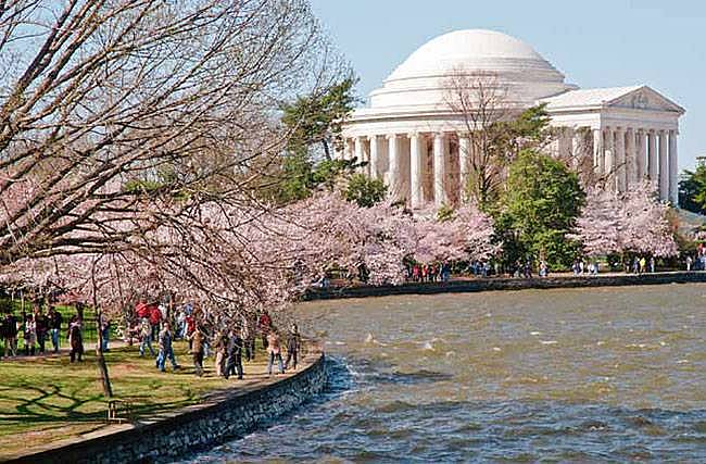 8. Thomas Jefferson Memorial, Washington D.C.