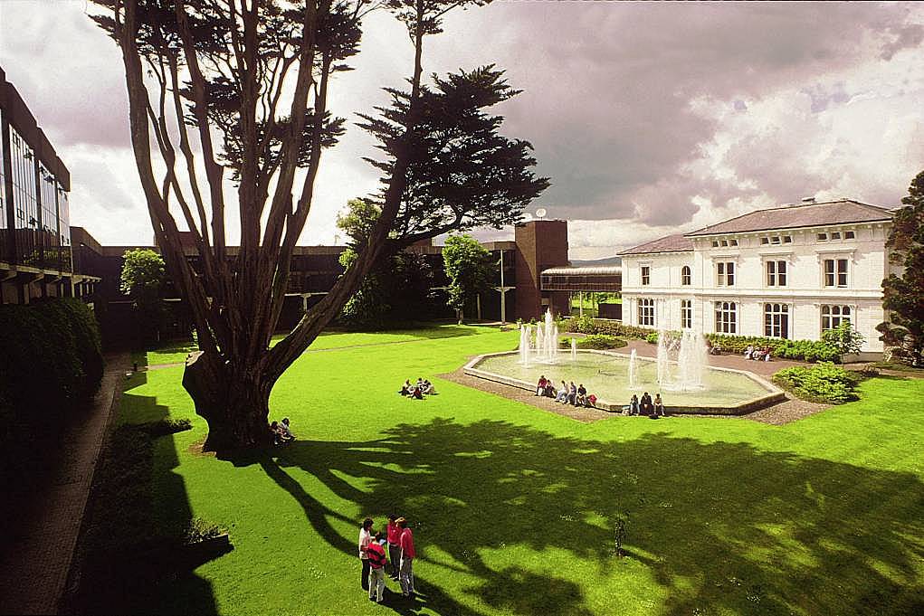 6. University of Limerick