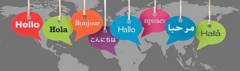 11. Çeşitli diller öğrenin.