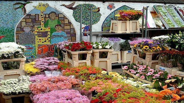 12. Columbia Road Flower Market