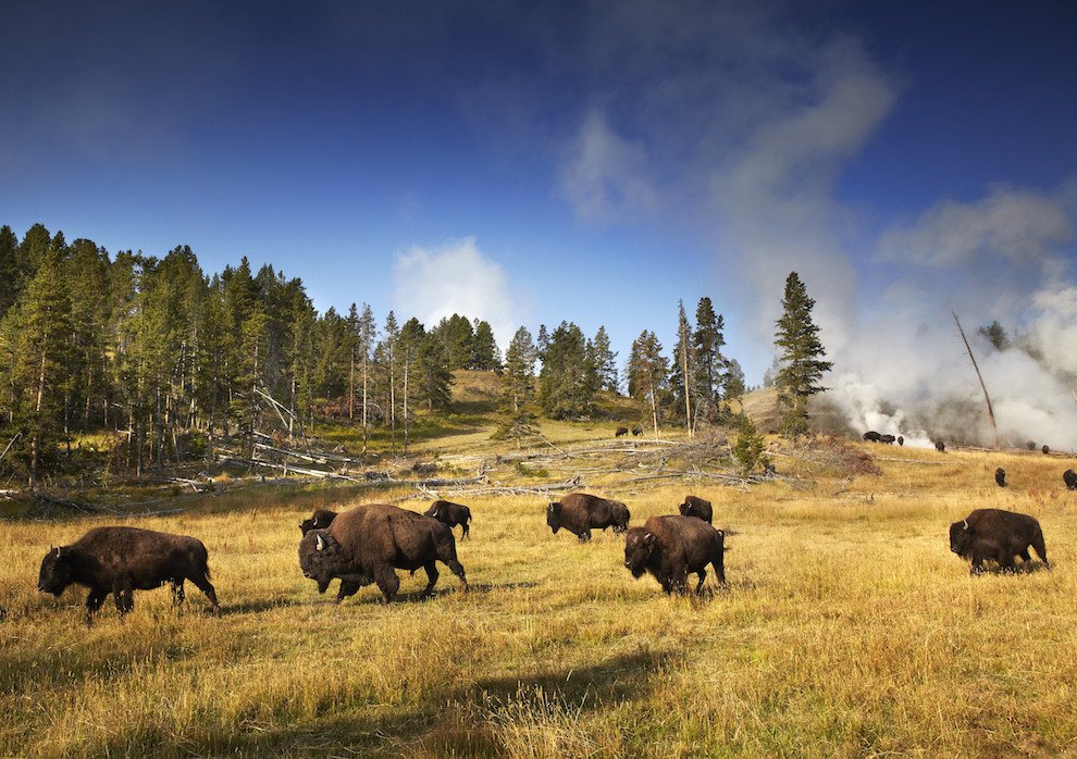 4. Yellowstone National Park (Idaho, Montana, and Wyoming)