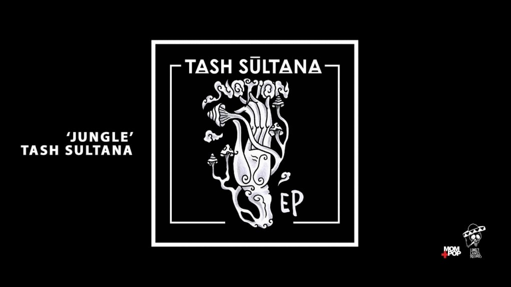 1. Tash Sultana - Junle( Radio Edit)