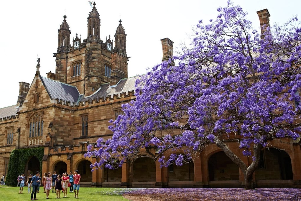 Avustralya’nın En İyi 10 Üniversitesi
