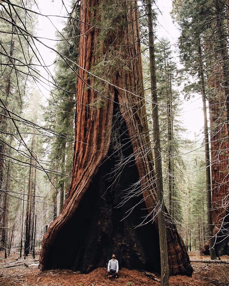 5. Redwood National Park, California