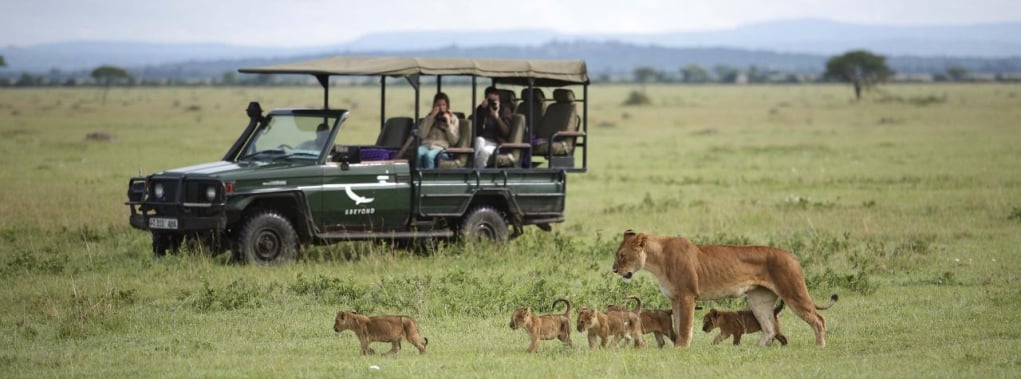 2. Doğu Afrika’da safari yapın.