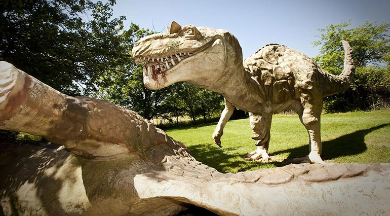 10. Dünyanın en büyük dinozor mezarlığı Kanada'dadır.