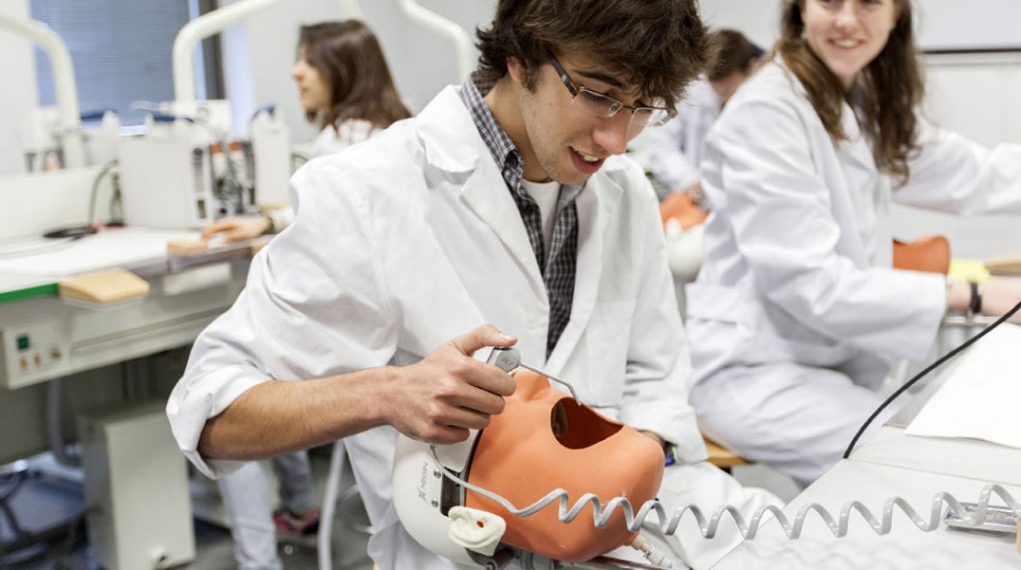 Çekya’da Tıp ve Diş Hekimliği Hakkında Faydalı Bilgiler