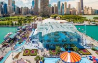 İlklerin Şehri Chicago Hakkında 10 İlginç Bilgi